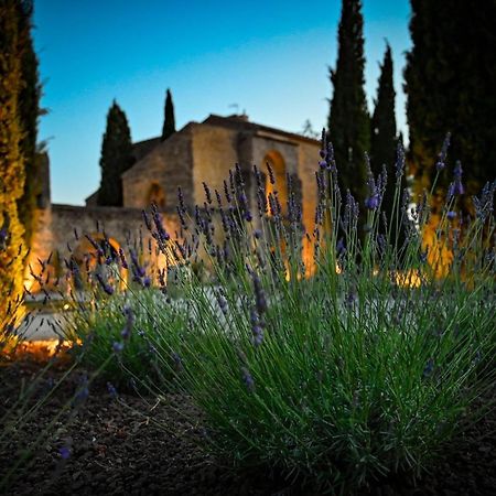 Chateau Saint-Pierre De Mejans Puyvert Exteriér fotografie