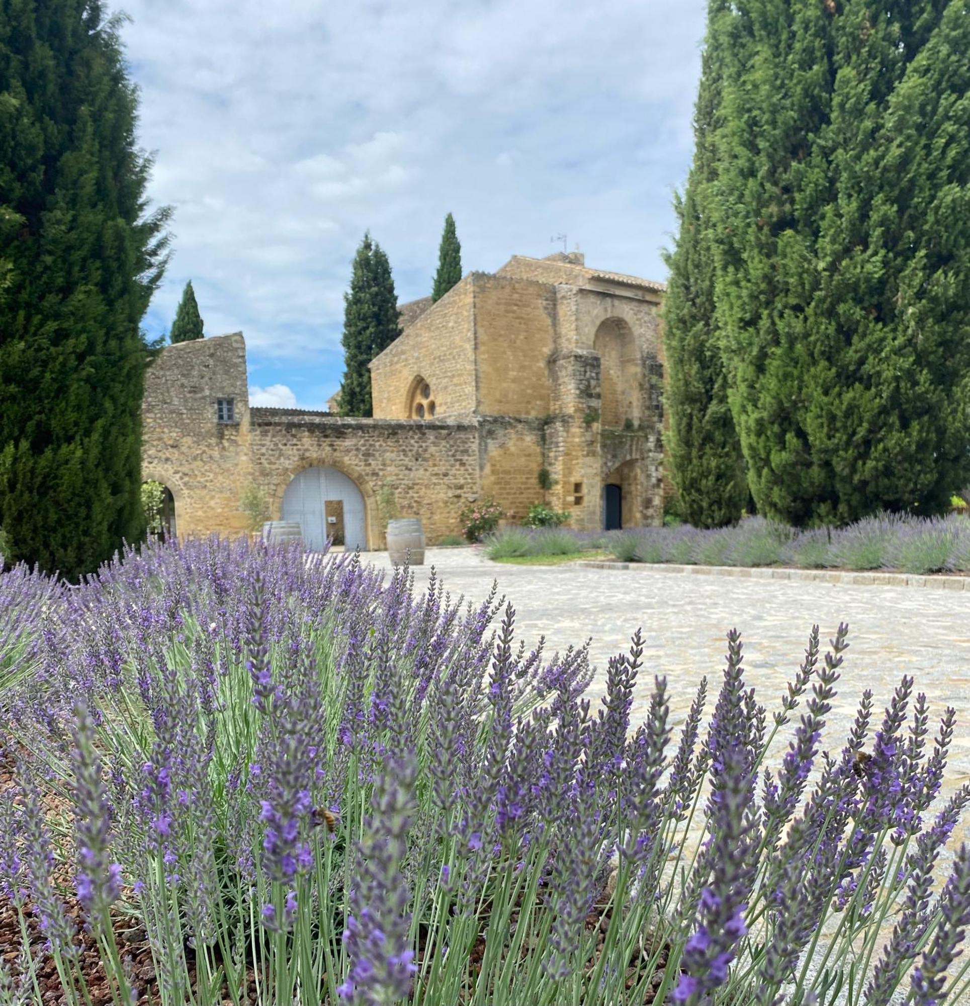 Chateau Saint-Pierre De Mejans Puyvert Exteriér fotografie