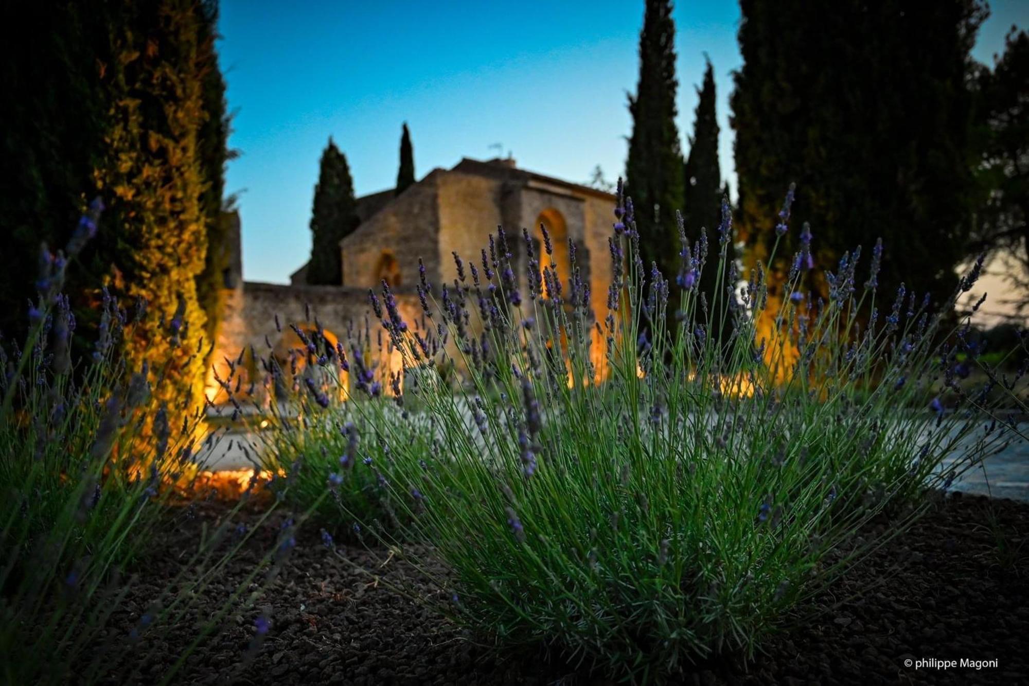 Chateau Saint-Pierre De Mejans Puyvert Exteriér fotografie